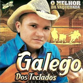 Album cover of O Melhor da Vaquejada