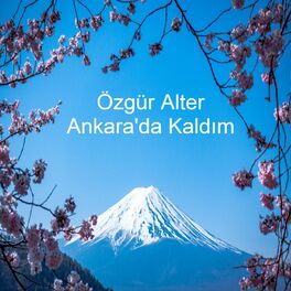 Album cover of Ankara'da Kaldım