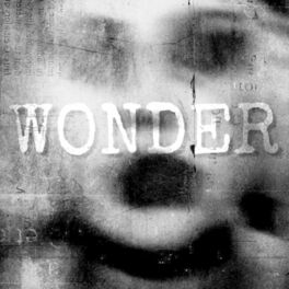 Album cover of Wonder (feat. Ruelle)