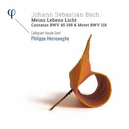 Album cover of Bach: 'Meins Lebens Licht' Cantatas BWV 45-198 & Motet BWV 118