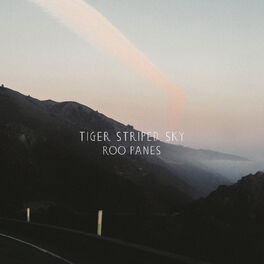 Album cover of Tiger Striped Sky
