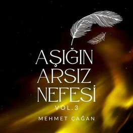Album cover of Aşığın Arsız Nefesi, Vol. 3