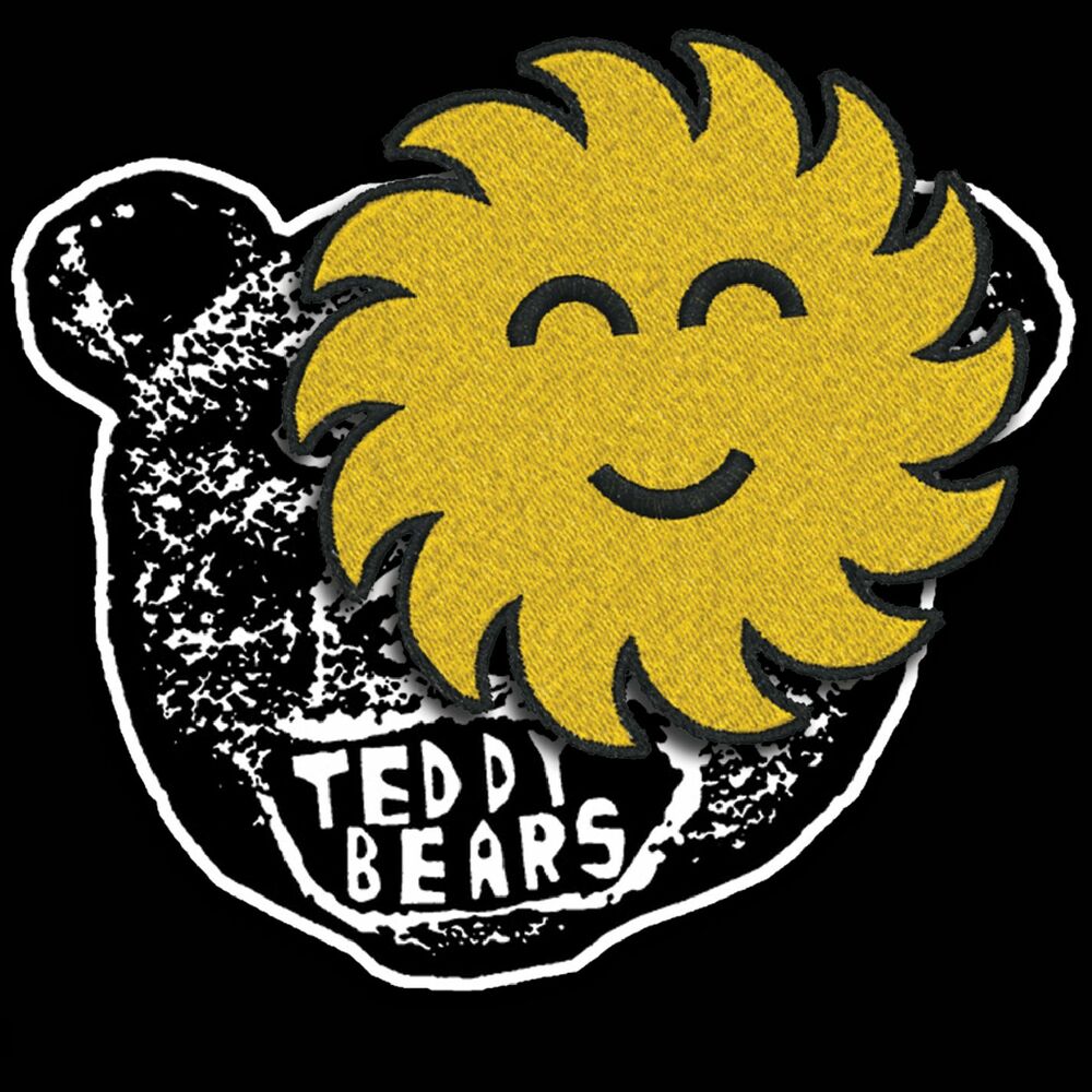 Sunshine песня. Sunshine teddybears. Teddybears Songs.