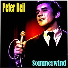 Album cover of Sommerwind