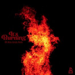 Album cover of It's Burning (feat. NYA, Abiana, Bennada & Malaika)