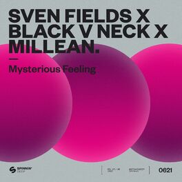 Album cover of Mysterious Feeling