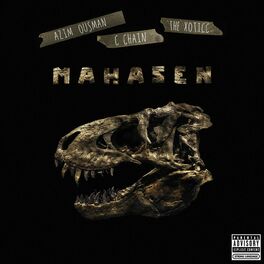 Album cover of Mahasen