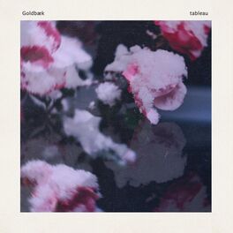 Album cover of tableau