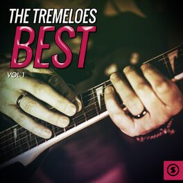 Album cover of The Tremeloes Best, Vol. 1
