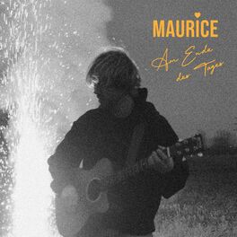 Album cover of Am Ende des Tages