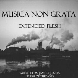 Album cover of Extended Flesh: Music from James Quinn's Flesh of the Void