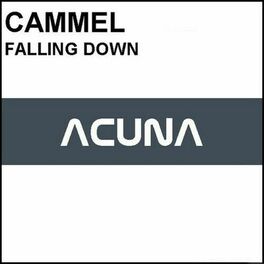 Album cover of Falling Down