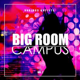 Album cover of Big Room Campus, Vol. 2