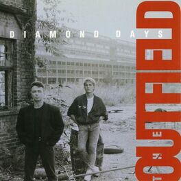 Album cover of Diamond Days