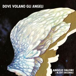 Album cover of Dove volano gli angeli