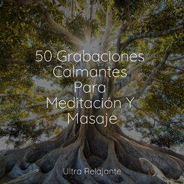 Album cover of 50 Grabaciones Calmantes Para Meditación Y Masaje