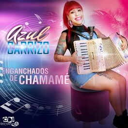Album cover of Enganchados de Chamamé