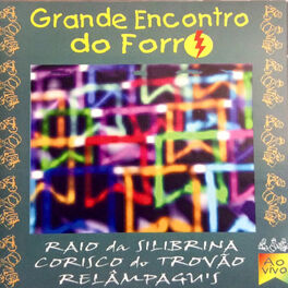Album cover of O Grande Encontro do Forró (Ao Vivo)