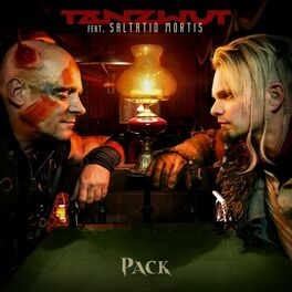 Album cover of Pack (feat. Saltatio Mortis)