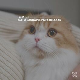 Album cover of Gato Saudável para Relaxar