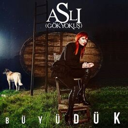 Album cover of Büyüdük