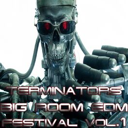 Album cover of Terminators Big Room, EDM Festival Vol.1