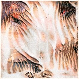 Album cover of Stray