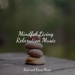 Album cover of Mindful Living Relaxation Music