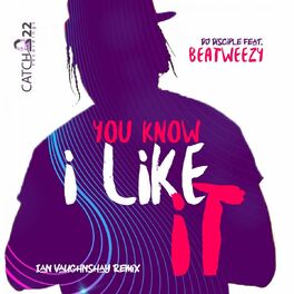 Album cover of You Know I Like It (Ian Vaughnshay Remix)