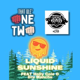 Album cover of Liquid Sunshine (feat. Dru Manchu & Holly Cole)