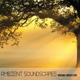 Album cover of Ambient SoundScapes Vol 25