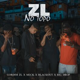 Album cover of ZL No Topo