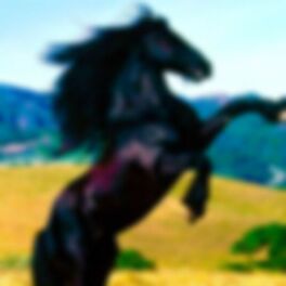 Album cover of BULERÍAS DE UN CABALLO MALO