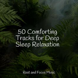 Album cover of 50 Comforting Tracks for Deep Sleep Relaxation