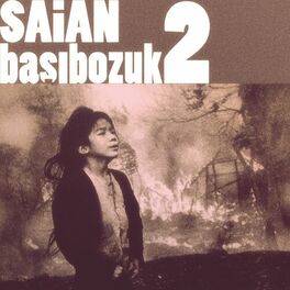 Album cover of Başıbozuk 2