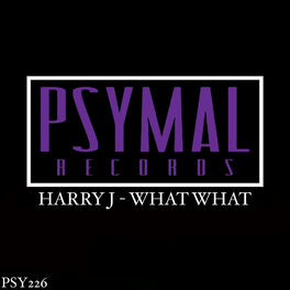 Album cover of What What