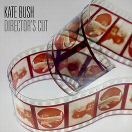 Album cover of Director's Cut (2018 Remaster)