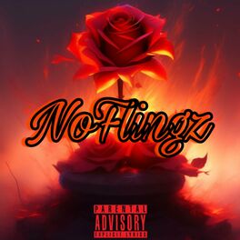 Album cover of NoFlingz