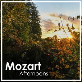 Album cover of Mozart Afternoons
