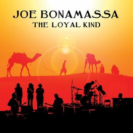 Album cover of The Loyal Kind (Live)