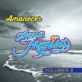 Album cover of Vol. 8 Amanecer