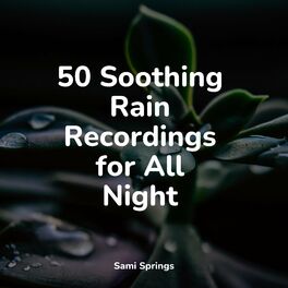 Album cover of 50 Soothing Rain Recordings for All Night