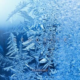 Album cover of DENDRITE