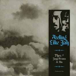 Album cover of Feeling Like Jah (feat. Jayy Grams & Blu)