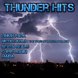 Album cover of Thunderhits