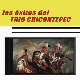 Album cover of Los Éxitos de Trío Chicontepec