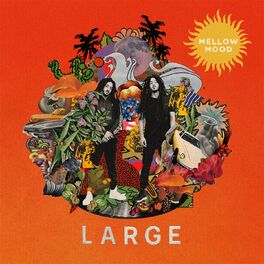 Album cover of Large