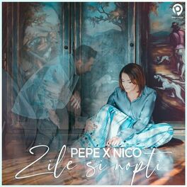 Album cover of Zile Si Nopti