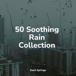 Album cover of 50 Soothing Rain Collection