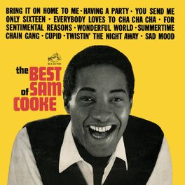 Album cover of The Best Of Sam Cooke